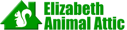 Elizabeth Animal Attic